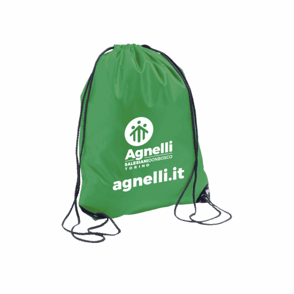 Sacca - Istituto Agnelli